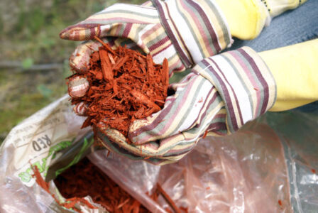 Free Wood Mulch! Some for Me, Some for You Image